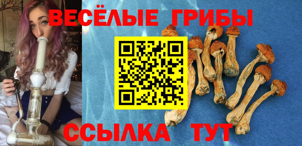 Псилоцибиновые грибы мухоморы  Вход с VPN  купить наркоту  Ханты-Мансийск 